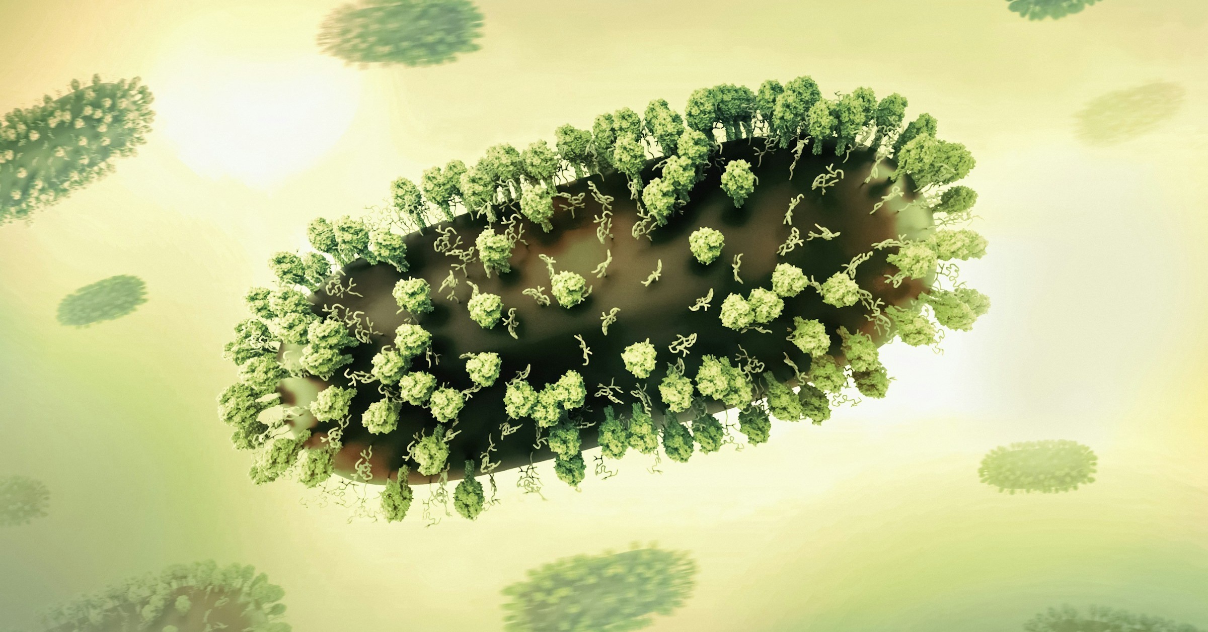 What Delayed RSV Vaccination Is Costing the Netherlands